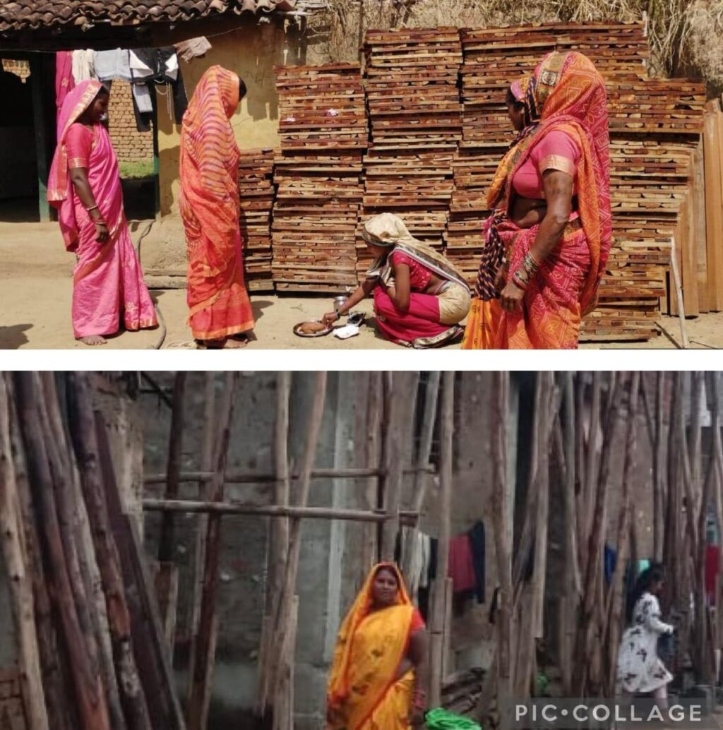 1773309664_d8c1e2909be86c0b3d95