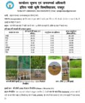 रायपुर : अधिक वर्षा की स्थिति में किसान लेही पद्दति से धान की करें बुआई