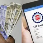EPFO पासबुक में नहीं दिख रहा ब्याज? घबराएं नहीं, इन आसान तरीकों से तुरंत करें चेक